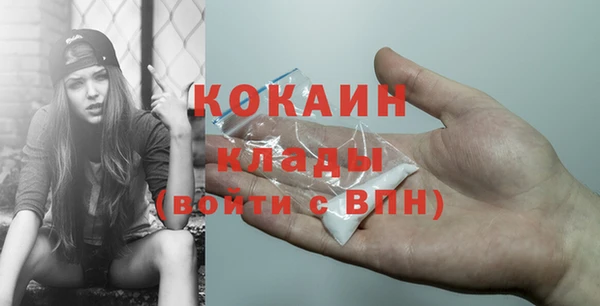 эйфоретик Арсеньев