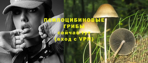 эйфоретик Арсеньев