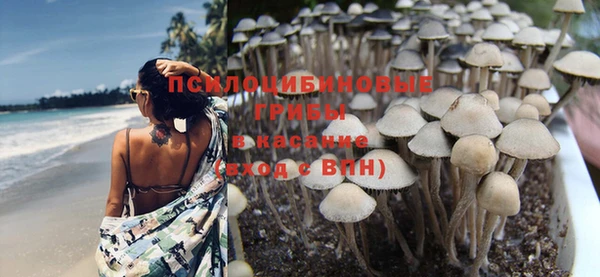 твердый Аркадак